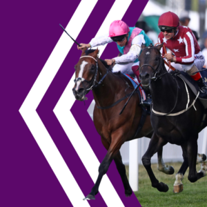 Betdaq Review & Free Bet — The 2nd Largest Betting Exchange